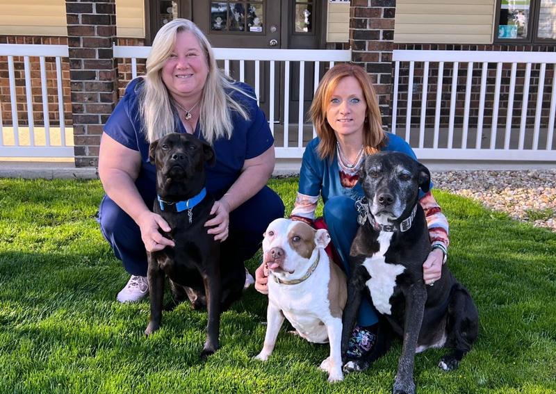 South Mill Veterinary Care Boardman veterinary hospital